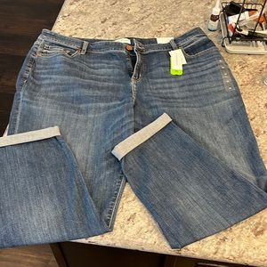 NWT Lane Bryant Boyfriend News